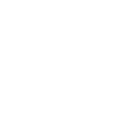 Meeple