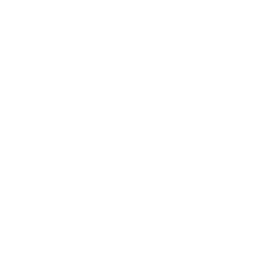 Primordian
