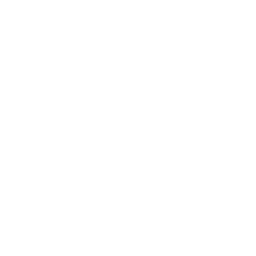 Arbiter